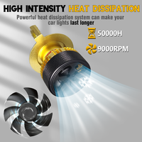 Ampoule LED haute puissance CANBUS, prix usine, 12V 300W 20000lm, H1 H7 H8 H10 H11 9005 9006 9012 H4, éclairage automobile pour Vios