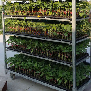 รถเข็นแบบมีล้อสำหรับใช้ในสวนทำจากโลหะแบบพับเก็บได้มีล้อ - Product Image 3