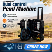 Qu'est-ce qu'un appareil PEMF à double commande pour la thérapie équine ? Guide d'achat pour les équipements de rééducation des chevaux