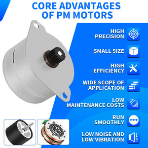 RB 14PM4809 7W 7,5 ° Generador de imanes permanentes <span class=keywords><strong>Motor</strong></span> eléctrico de bajo par con <span class=keywords><strong>motor</strong></span> de 48V Pms para impresora de 3,75 V Dc - Product Image 3