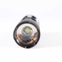 Portable Mini LED UV 365nm Blacklight Torche Détecteur Anti-contrefaçon 370nm Pet Résine Durcissement Lampe De Poche pour Chien