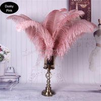 E-010 Gros Top Qualité Blanc ROSE NOIR BLEU ROUGE Décoratif Autruche Grande Plume pour DÉCORATIF