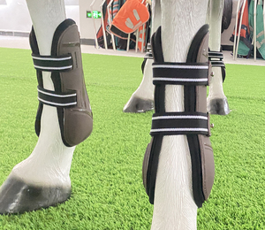 Sepatu bot olahraga kuda cepat kering, sepatu bot lapisan Anti goresan, dukungan Tendon, pasang bot olahraga kuda warna coklat - Product Image 2