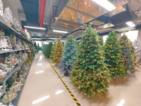 Arbre de Noël Artificiel en PVC de Qualité Usine Yiwu 210cm, Écologique, Taille Personnalisée de 30cm à 300cm, Utilisation Domicile OEM ODM Navidad