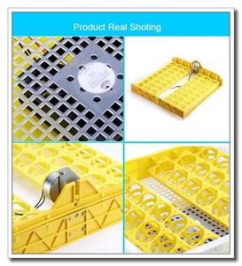 Wonegg Incubateur d'œufs de volaille économique 48 places, couveuse combinée entièrement automatique à vendre avec double alimentation - Product Image 4
