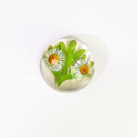 Artisanat en résine Fleurs en résine Presse-papiers Acrylique Transparent avec spécimen végétal Art floral Fleurs séchées dans la résine