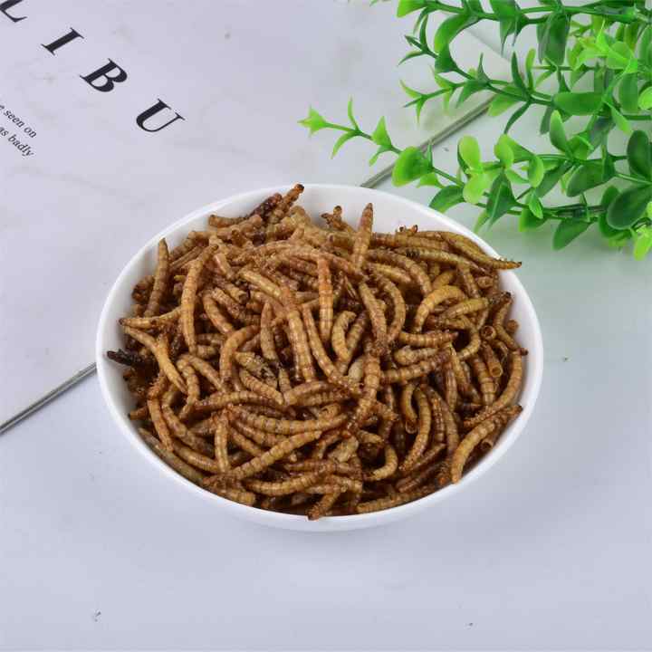 信冠干黑兵蝇g幼虫有机营养宠物食品低价出售| Alibaba.com