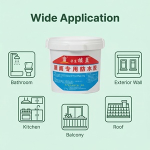 BIAOYUAN Revêtement transparent imperméable en acrylique moderne respectueux de l'environnement Garantie de 5 ans Format liquide pour mur extérieur - Product Image 4