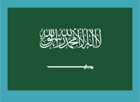 Agent d'expédition DDU DDP, agent de fret maritime et aérien, transitaire de Chine vers le Royaume-Uni, les États-Unis, l'Inde, le Pakistan, l'Afrique du Sud, l'Arabie Saoudite, les Émirats arabes unis