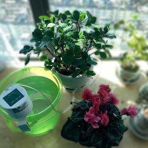 Temporizador de Riego para Jardín EasyGrow, Controlador de Riego Automático Digital, Serie de Microaspersores de Plástico para Exteriores GT-75 - Product Image 2
