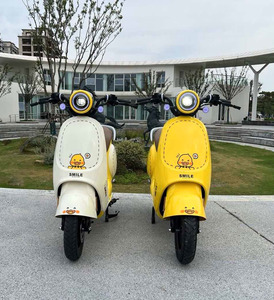 Anra gruppo piccoli motocicli elettrici motorizzati domestici e biciclette elettriche - Product Image 2