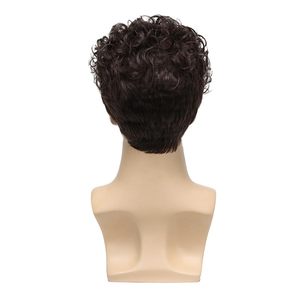 <span class=keywords><strong>Parrucca</strong></span> da <span class=keywords><strong>uomo</strong></span> europeo-americana con capelli corti ricci castani, elegante e di tendenza, con piccoli riccioli, realizzata a macchina con filo resistente alle alte temperature - Product Image 5