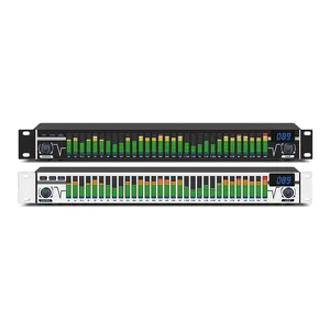 EQ-A310 Dsp Digitale Processor Audiosysteem Radiostations Equalizer