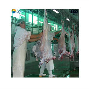 Ligne complète de traitement des carcasses de moutons et de chèvres pour les abattoirs de moutons et de chèvres - Product Image 1