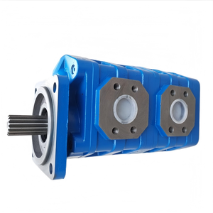 HuamaoExcavator Spare Parts Hydraulic Pump CBGJ Series Wholesale Manufacturer Power Transmission Hydraulic Gear Motor - Product Image 6
