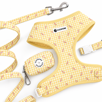 Ensemble Harnais et Laisse Réfléchissant Rembourré Personnalisé pour Chien – Gilet Anti-Traction Réglable pour Promenades en Extérieur – Lot de Harnais pour Chiens en Gros