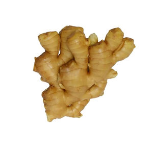 Pemasok Tiongkok menawarkan berbagai Harga jahe segar, yang kaya akan nutrisi. - Product Image 1
