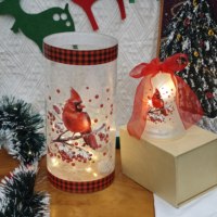 Accessoires d'intérieur Vase de décoration d'intérieur Petits vases en verre pour fleurs