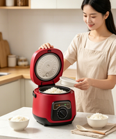 Cuisinière à riz électrique mini automatique 2,5 L 600 W avec fonction maintien au chaud, boîtier en plastique, cuve antiadhésive et fonction minuterie PC50-J