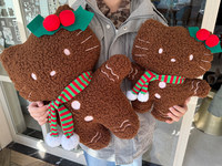 Nouveauté 2026 : Peluches de Noël mignonnes de dessin animé KT Cat, jouets en peluche KT avec écharpe de Noël rose, poupée Bonhomme en pain d'épices