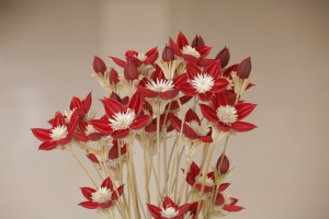 Moon Yu ชุดรวมแฮนด์เมดสำหรับตกแต่งบ้าน DIY - Product Image 3