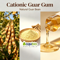 Gomme de guar cationique haute performance - Polymère conditionneur naturel pour les soins personnels et les applications industrielles |   CAS 65497-29-2