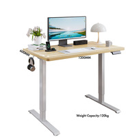 Bureau debout électrique ergonomique moderne à hauteur réglable, à moteur unique, avec structure en fer, plateau en bois modulaire extensible, pour usage commercial