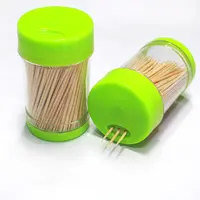 Mini stuzzicadenti in legno usa e getta ecologico per la pulizia dei denti di grado alimentare uno o due punti stuzzicadenti in legno