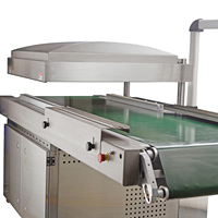 Machine d'emballage sous vide à bande transporteuse continue pour la volaille, la viande, le steak, la saucisse, le fromage, le poulet, le bœuf, le porc, l'agneau, les fruits de mer