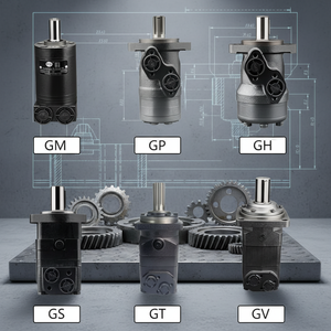 มอเตอร์เกียร์ไฮดรอลิกแบบกำหนดเอง GRH Custom Professional Hydraulic Gear Motor รุ่น GM GR GS GV GWD ความเร็วต่ำ แรงบิดสูง มอเตอร์เกียร์ไฮดรอลิกแบบกำหนดเอง - Product Image 3