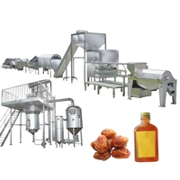 Ligne de production automatique de sirop de dattes Medjoul contrôlée par PLC, machine de transformation du miel de dattes Jujube