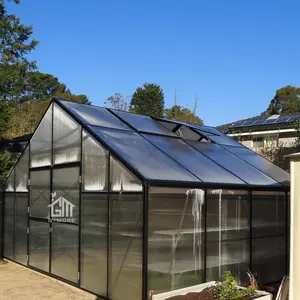 G-MORE Black Powder Coated Aluminum Framing Outdoor Hobby Greenhouse Double Door Winter Green House 5x4 Meters