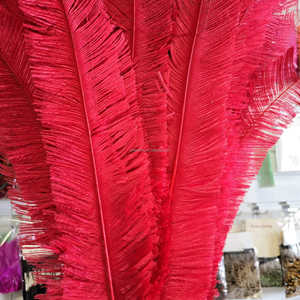Plumas de avestruz recortadas <span class=keywords><strong>Nandu</strong></span> de 50cm para fiesta, hogar, boda, jarrón, decoración artesanal, sombrero Floral, tocado, sombrerería, accesorio para la cabeza - Product Image 4
