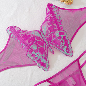 Ensemble 2 pièces de lingerie romantique grande taille pour femme : soutien-gorge et culotte en maille transparente avec broderie papillon, sans bretelles - Product Image 5