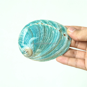 <span class=keywords><strong>Coquillages</strong></span> d'ormeau et <span class=keywords><strong>coquillages</strong></span> marins en vrac pour aménagement paysager d'aquarium, décoration photo d'intérieur et accessoires <span class=keywords><strong>de</strong></span> décoration - Product Image 3