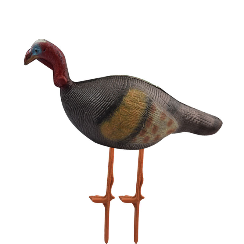 Cible de dinde mâle