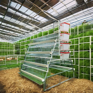 Bon prix Batterie de pondeuses de poules pondeuses à 4 niveaux de 5000 capacités Conception moderne de la volaille Meilleures <span class=keywords><strong>cages</strong></span> vente vérifiée pour les fermes du Kenya - Product Image 3