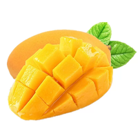 Zhongbao OEM Zoete Gedroogde Mango Plakjes Hoge Kwaliteit Zacht 100g Kant-en-klaar Bulkverpakking AD Droging