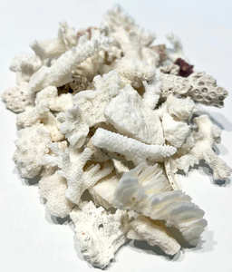 Vaso per decorazioni per la casa contenitori per terrari a forma rotonda in vetro OEM vaso di vetro terrario con Base in legno a tema spiaggia terrario per piante fai da te - Product Image 6