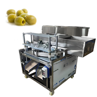 Meilleure vente Date Jujube Pitter Machine à dénoyauter Noyau d'olive Enlever la machine à ensemencer Date Palm Core Exteactor