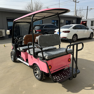 Mini vehículo turístico eléctrico de lujo de 6 plazas, autobús turístico vintage de alta calidad para lugares escénicos, carritos de golf inspirados en centros turísticos - Product Image 2