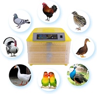 Incubateur automatique à double alimentation pour l'éclosion des œufs de poulet, de canard et de caille, certifié, fabriqué en Chine, à vendre
