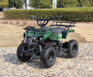 <span class=keywords><strong>Quad</strong></span> enfant <span class=keywords><strong>électrique</strong></span> <span class=keywords><strong>1000W</strong></span> ATV avec compteur de vitesse - Product Image 4