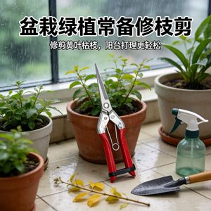 Jolies cisailles de taille extensibles avec lame de 205 mm et coupe de 65 mm pour le jardinage, la floristerie et l'utilisation en verger - Product Image 3