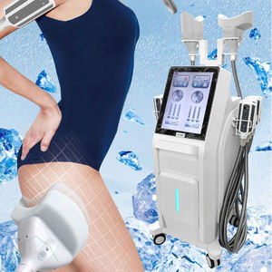 Gran Oferta 2026: Eliminación de Grasa y Celulitis por Congelación para Spa - Product Image 2