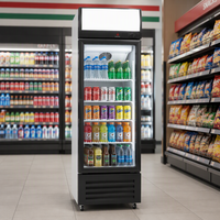 Vitrines réfrigérées commerciales pour boissons, à contrôle manuel de la température, économie d'énergie, portes simple/double/triple