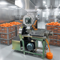 Industriële wortelpersmachine van roestvrij staal, commerciële schroefpers voor fruit, ananas, sinaasappel en citroen.