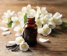 Huile essentielle de vanille planifolia 100% pure et naturelle de qualité supérieure, multi-usages, disponible en gros à prix bas - Product Image 1