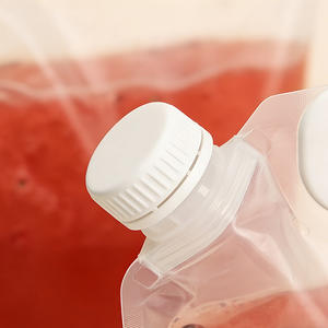 Bolsa ecológica transparente de 5 litros de PE, reutilizable, portátil, con boquilla, para jugo, bebidas, con sellado térmico. - Product Image 2