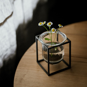 แจกันดอกไม้ขนาดเล็กจิ๋ว, แจกันแก้วสำหรับปลูกพืชไร้ดิน, ของตกแต่งห้องนั่งเล่นแบบเรียบง่ายและทันสมัย - Product Image 2